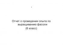 Отчет о проведении опыта по выращиванию фасоли
