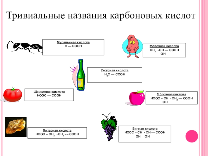 Карбоновые кислоты картинки