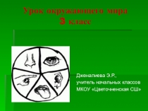 Презентация по окружающему миру на тему Органы чувств (3 класс)