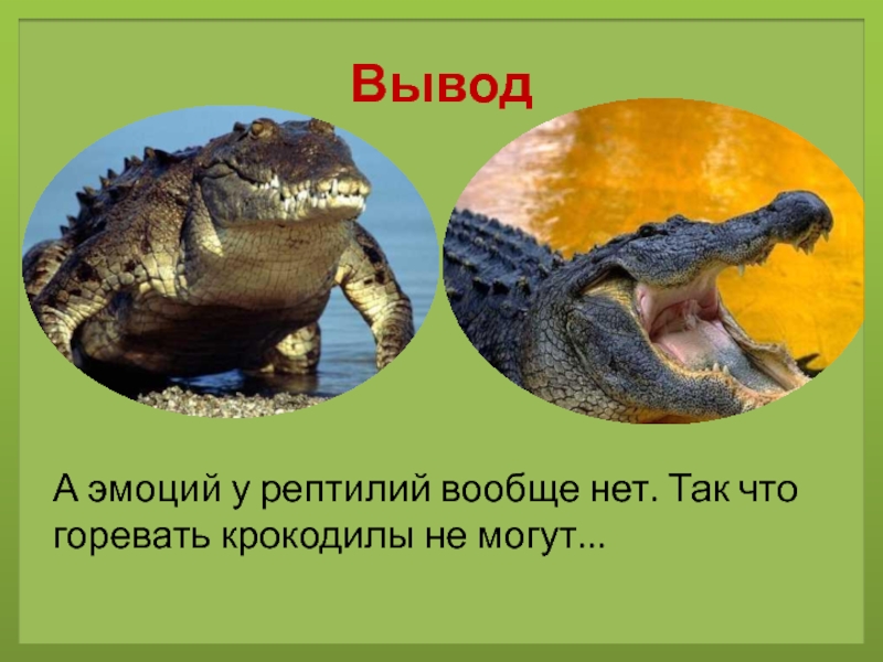 Крокодиловы слезы текст впр