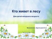 Презентация для детей младшего дошкольного возраста Кто живет в лесу