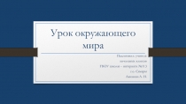 Презентация по окружающему миру на тему: Зачем нужно есть много овощей и фруктов?