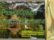 Презентация по окружающему миру для 3 класса Животный мир