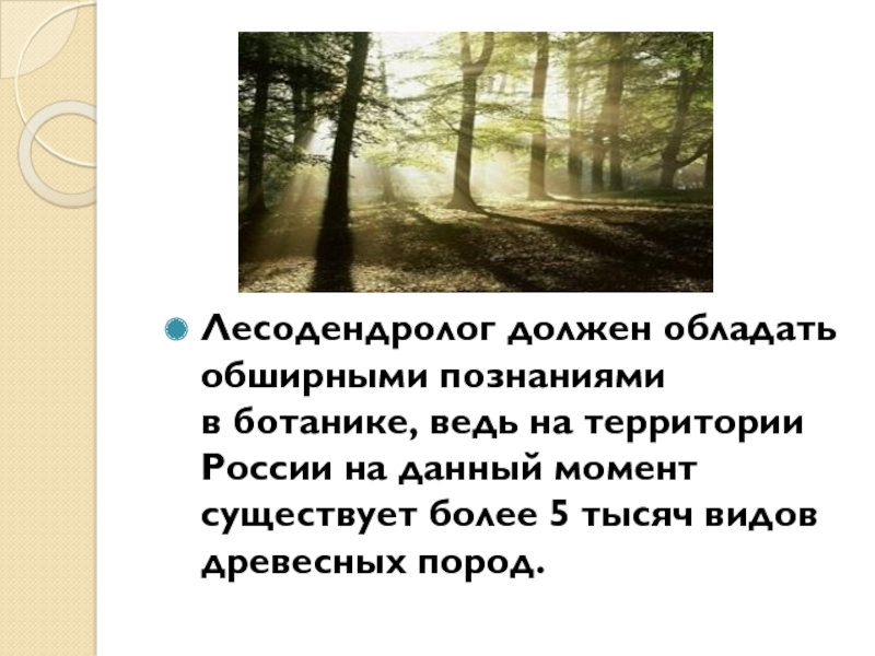 Лесодендролог должен обладать обширными познаниями в ботанике, ведь на территории России на данный момент существует более 5 тысяч видов древесных пород.