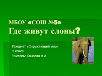 Где живут слоны?