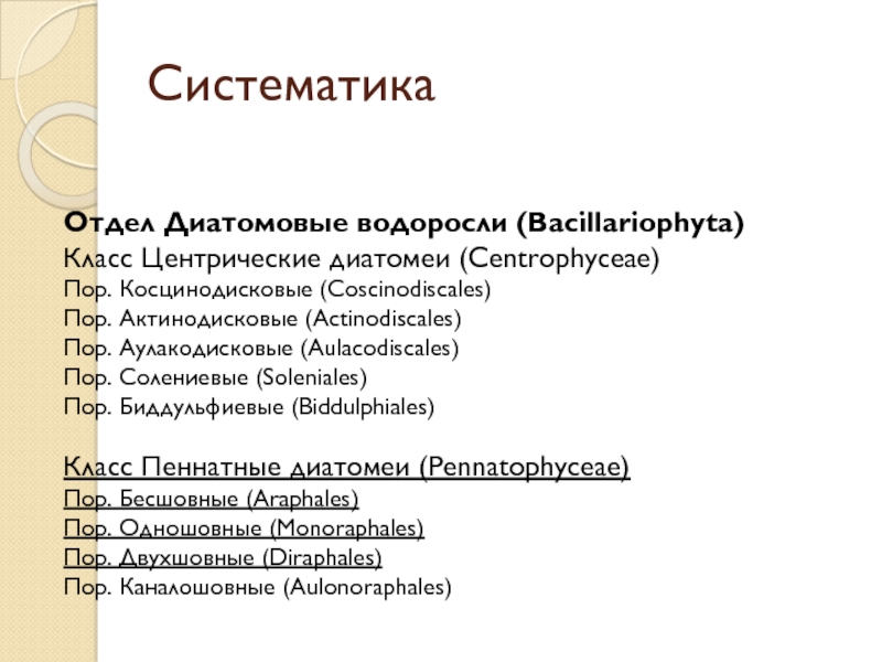 Тест по биологии 6 класс водоросли