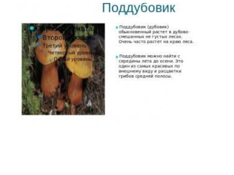 Предложение со словом дуб. Предложения со словами дуб дубовый. Предложение со словом поддубовик. Дуб Дубок дубовый поддубовик Дубрава. Поддубовик составить предложение.