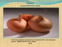 проект Лук-волшебник для детей младшего возраста