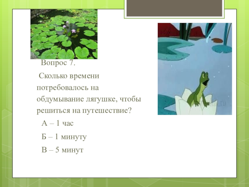 План жаба. Вопросы к произведению лягушка путешественница 3 класс. Вопросы к сказке лягушка путешественница. Вопросы по сказке лягушка путешественница. Вопросы к лягушке путешественнице.