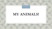 Презентация для 2 класса по теме My animals!