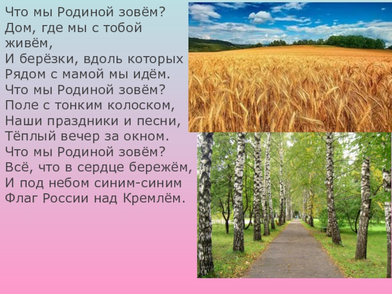 Презентация к уроку окружающего мира 2 класс родная страна школа россии