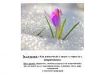 Презентация к уроку окружающий мир Как животные весну встречают