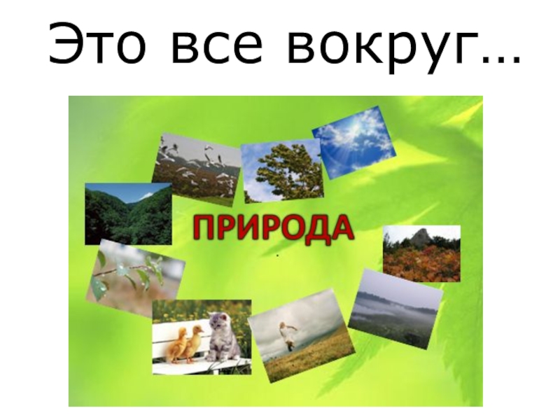 Проект про природу