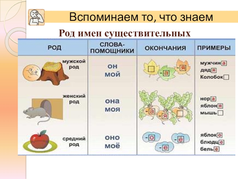 Рода 2 класс. Как определить род имен существительных. Схемы существительных среднего рода. Как понять имя существительное среднего рода. Таблица по русскому языку 3 класс род имен существительных.