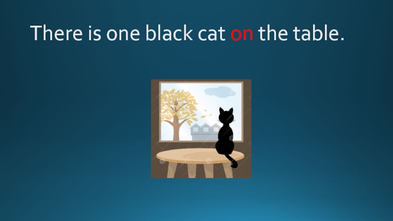 There is one black cat on the table.