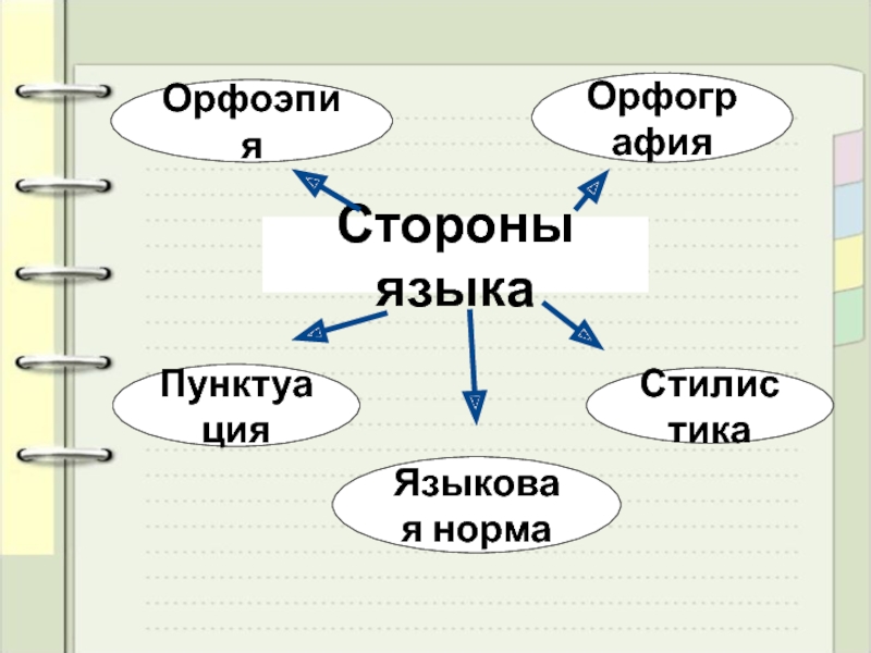 Стороны языка. Стороны языка в русском языке.