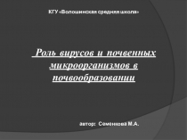 Роль вирусов и почвенных микроорганизмов в почвообразовании