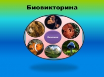 Урок биологии Викторина по анатомии