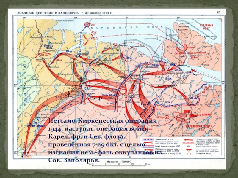 Петсамо киркенесская операция презентация