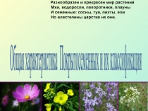 Презентация по биологии на тему Покрытосеменные растения