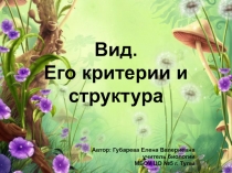 Презентация по биологии на тему Вид. Его критерии и структура (11 класс)