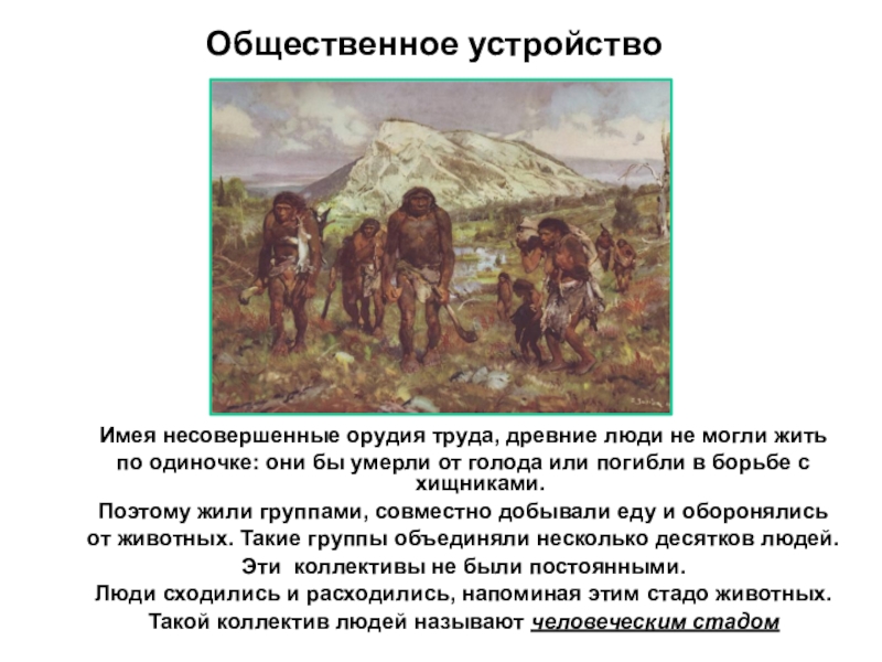 Вопросы первобытные люди. Первобытные люди и их коллективы. Какими группами жили древние люди. Коллективы первобытного человека. Почему древние люди жили группами.