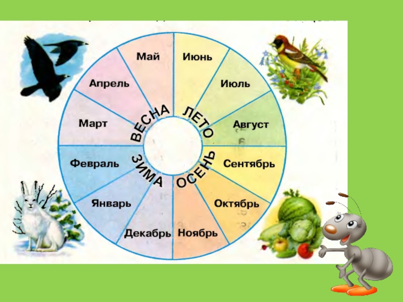 Какой приходящий год. Когда наступит лето. Круг месяцев года. Когда наступит лето 1 класс окружающий мир. Годовой круг окружающий мир.