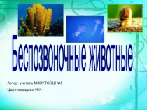 Презентация по окружающему миру на темуБеспозвоночные животные