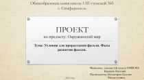 ИССЛЕДОВАТЕЛЬСКАЯ РАБОТА. Условия для прорастания фасоли. Фазы развития фасоли.