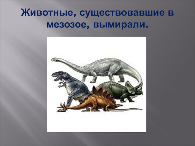 Презентация развитие жизни в мезозое и кайнозое 11 класс