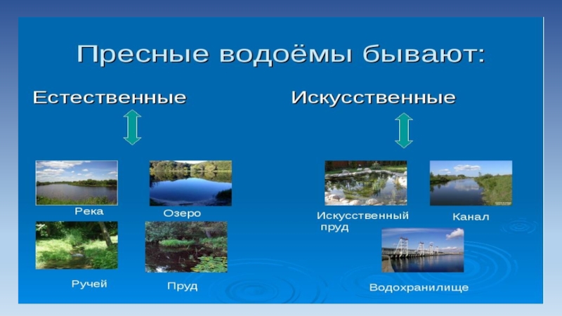 Пресные и соленые водоемы презентация