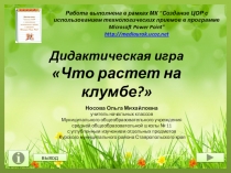 Дидактическая игра Что растет на клумбе?