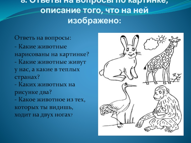 Выполни рисунок по описанию. Рисунок и описание животного. Рисования животных линиями картинки описание. Изображение и описание рисунка. Ответь на вопросы по рисунку.