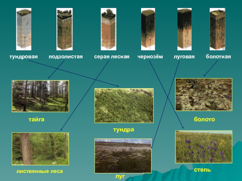 4 класс земля кормилица окружающий мир презентация