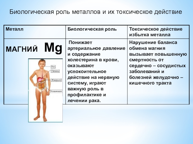 Роль металлов. Биологическая роль металлов. Токсическое действие талия. Избыток таллия в организме. Кальций биологическая роль токсическое действие избытка металла.