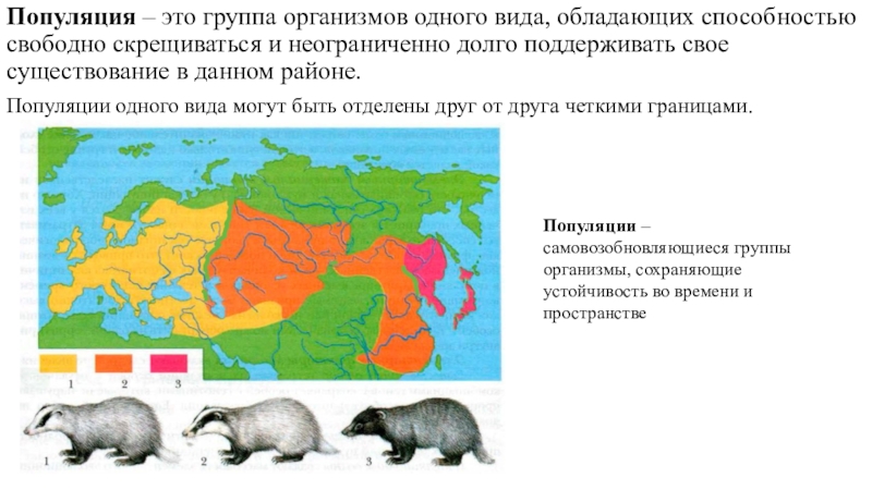 Популяция это. Современные представления об эволюции органического мира. Группа организмов одного вида. Популяция это группа организмов.