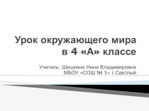 Презентация по окружающему миру на тему Петр 1