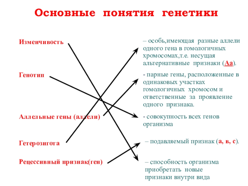 Понятия генетики. Основные понятия генетики. Основные понятия генетики аллельные гены. Основные понятия генетики Локус. Термин генетика изменчивость аллельные генотип.