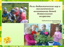 Роль дидактических игр в экологическом воспитании детей