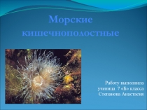 Презентация по биологии для 7 класса Морские кишечнополостные