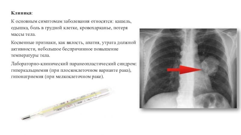 К основным признакам проекта относятся