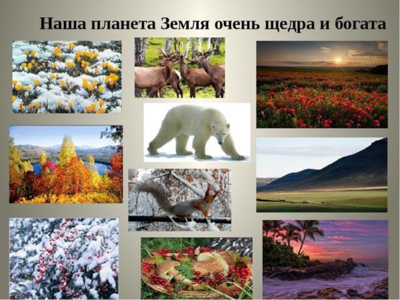 Природные богатства это окружающий мир. Богатства природы. Природа наше богатство. Природа России наше богатство. Наша Планета земля очень щедра и богата.