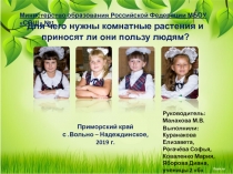 Презентация по окружающему миру Для чего нужны комнатные растения и приносят ли они пользу людям