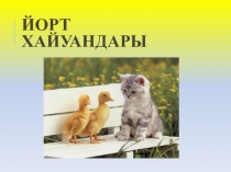 Презентация по башкирскому языку на тему Йорт хайуандары (1 класс)