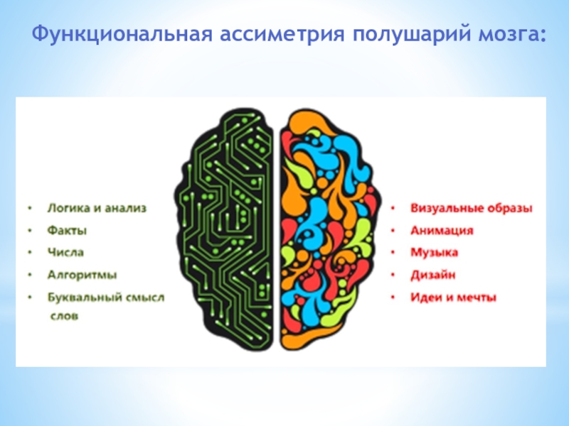 Характеристика полушарий мозга. Правое и левое полушарие мозга за что отвечают. Тест какое полушарие мозга развито больше. Тест какое полушарие мозга развито больше по картинке. Развиваем мозговые полушария карточки.