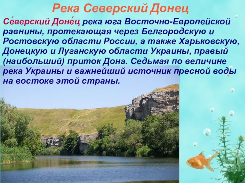 Сделайте визитную карточку реки в вашей местности дайте описание по плану приведенному в параграфе