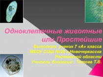 Презентация по биологии на тему Одноклеточные животные или Простейшие (7 класс)