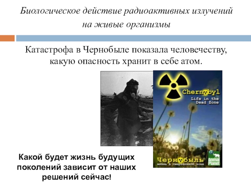 Проект биологические действия радиации
