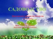 Презентация по биологии на тему: Садоводство
