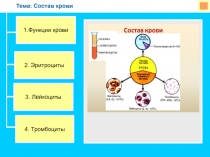 Презентация по биологии на тему: Состав крови (8 класс)